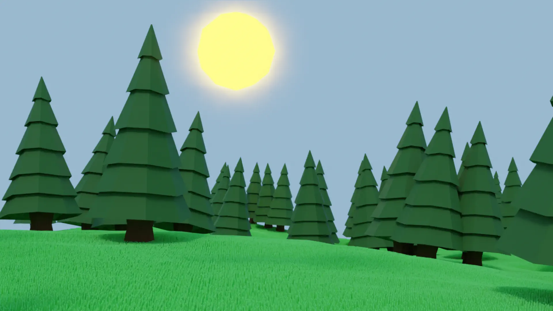 Lots of pine trees on the grass terrain in daytime.