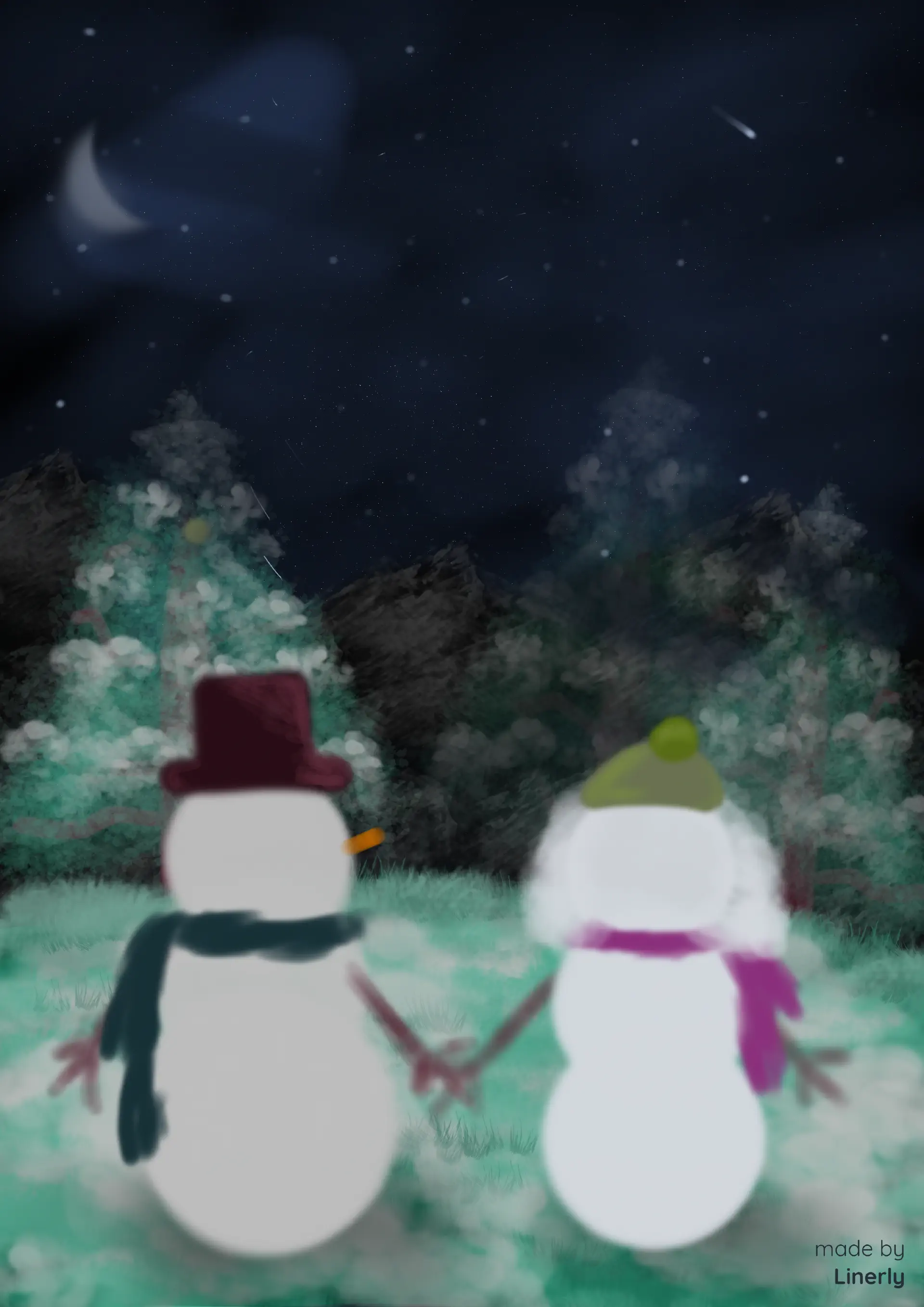 A snow couple holding hands with twig arms looking at the night sky with lots of stars. They're standing on a snowy grass terrain with pine trees and mountains in the background.